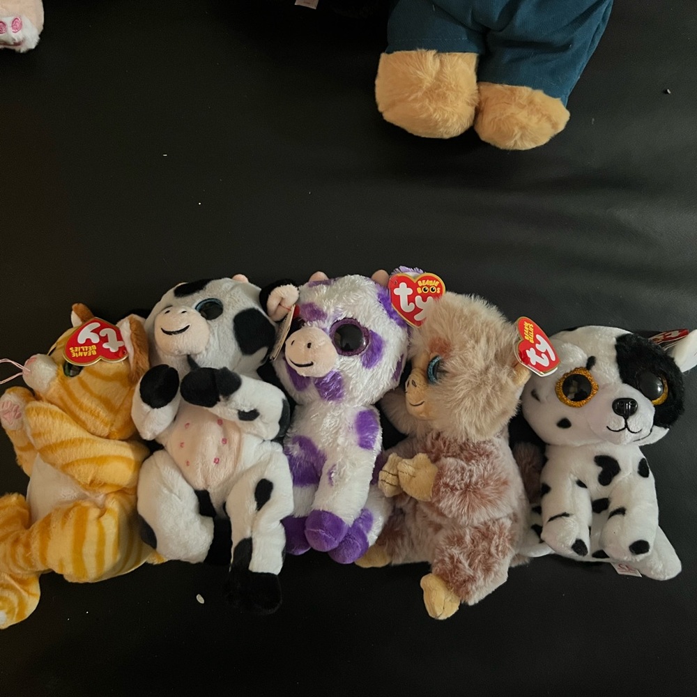 Ty Beanie Babies Plush Toy Collection - some beanie bellies and some beanie boos